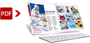 Online FLASH Catalogs